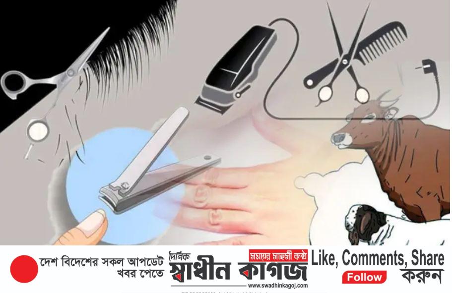 ছবি: প্রতীকী